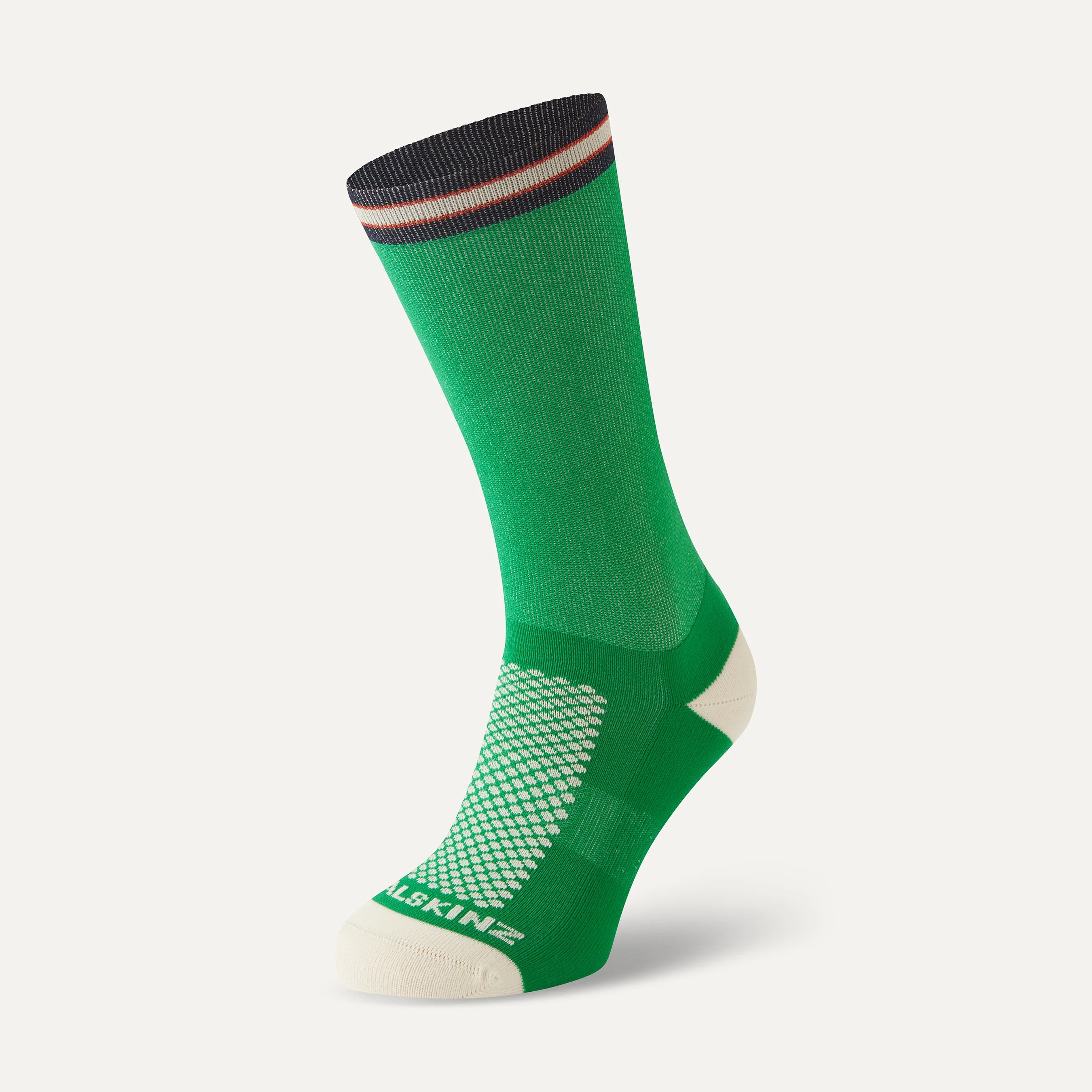 Caister - Image 3